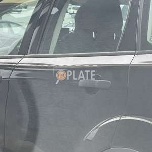 TFN7408 GA License Plate