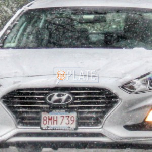 8MH739 MA License Plate