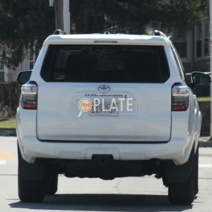 119ps7 MA License Plate