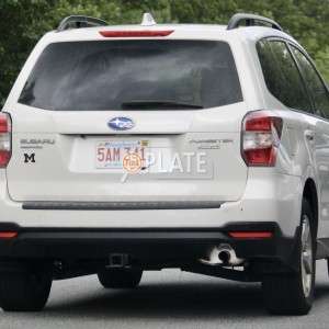 5AM341 MA License Plate