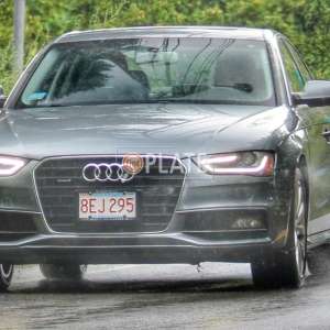 8EJ295 MA License Plate