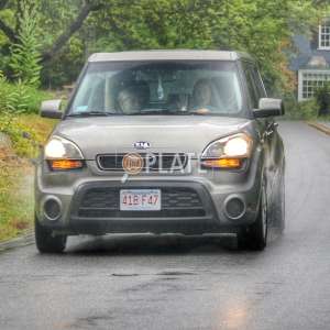 41BF47 MA License Plate