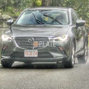 5BJD24 MA License Plate