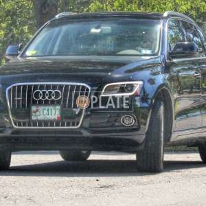 C4173 NH License Plate