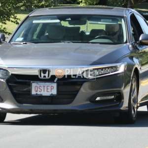 QSTEP MA License Plate