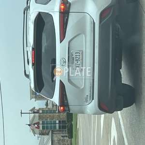 TVZ9213 TX License Plate