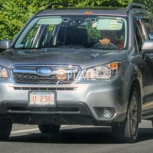 U236 MA License Plate