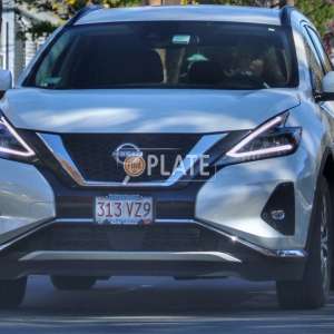 313VZ9 MA License Plate