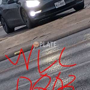 WLC0803 TX License Plate