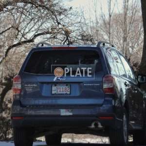 NI1182 MA License Plate