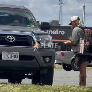 UFC3403 VA License Plate