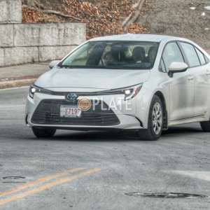 VE7197 MA License Plate