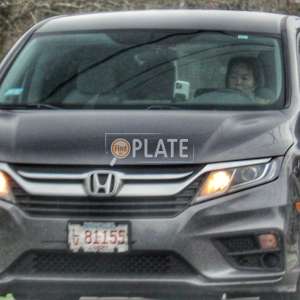 LV81155 MA License Plate