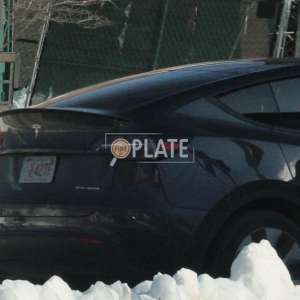 VE42TF MA License Plate