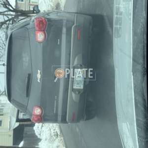 1MG659 RI License Plate