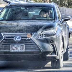 5ZNF88 MA License Plate