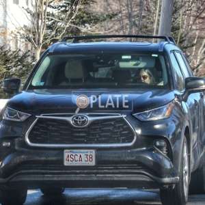 4SCA38 MA License Plate