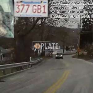 377GB1 MA License Plate
