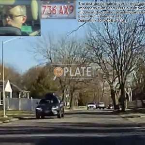 736AX9 MA License Plate