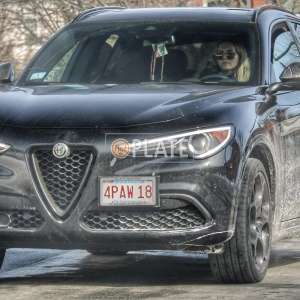 4PAW18 MA License Plate