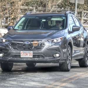 5TDH55 MA License Plate