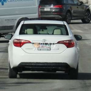 4XMM64 MA License Plate