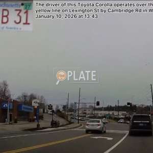 3DLB31 MA License Plate