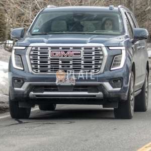 6WDF58 MA License Plate