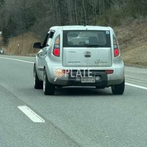TOASTED ME License Plate