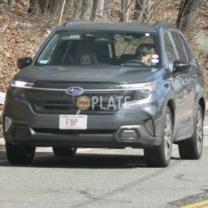 F8P MA License Plate