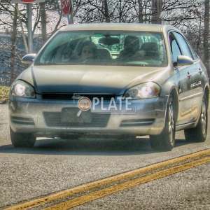 42FCTS FL License Plate
