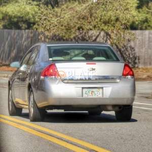 42FCTS FL License Plate