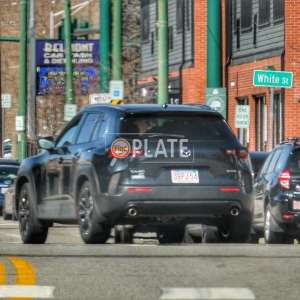 3BPJ54 MA License Plate