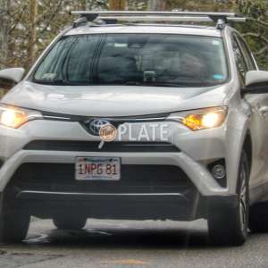1NPG81 MA License Plate