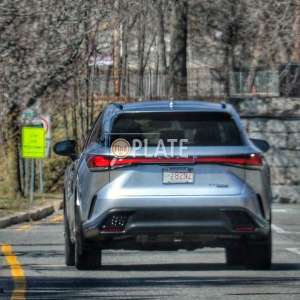 VE82NZ MA License Plate