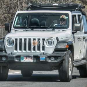 MV8115 MA License Plate