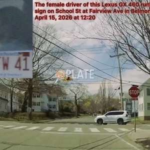 5TFW41 MA License Plate