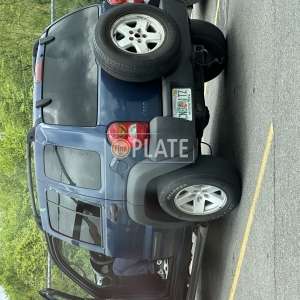 CN81TZ FL License Plate